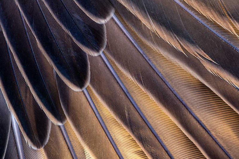 Close-up on a rendering showing detailed texture on wood, metal, and fabric.